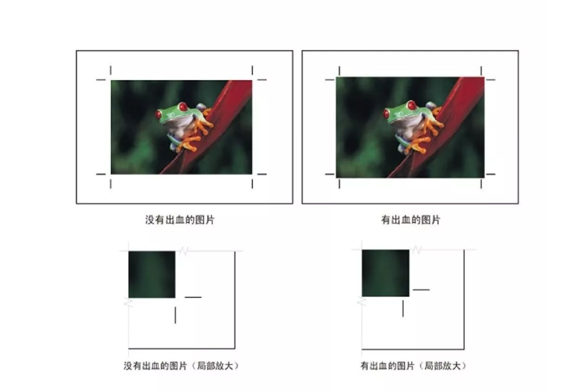 关于“出血的详细讲解”